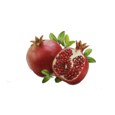 Pomegranate Property Management