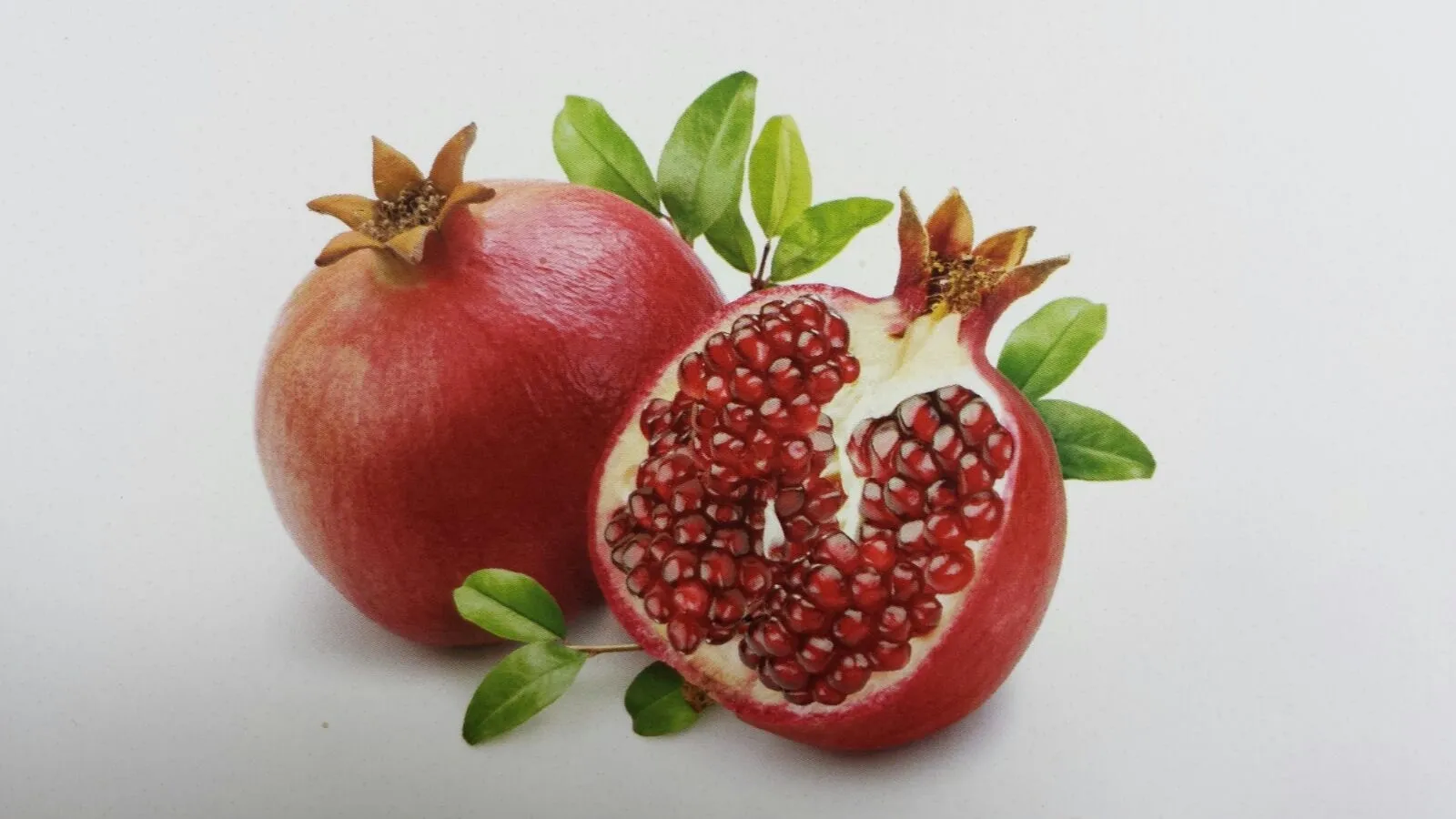 Pomegranate Property User Group image